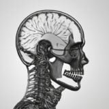 فقدان الذاكرة العلامات الدالة عليه، أسبابه، طرق علاجه والوقاية منه